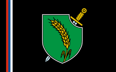 Flag_of_Yugoslav_National_Movement.svg.png