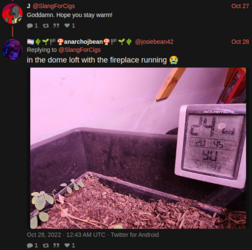 11.png 11.png