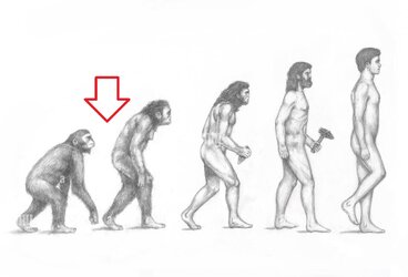human-evolution-2BEGNWG.jpg