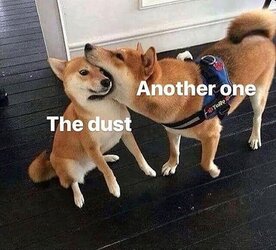 bites the dust.jpg