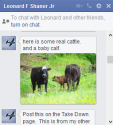 cows.png