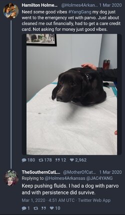 parvo.jpg