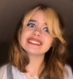 Untitled.png