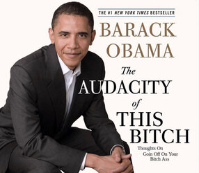 barack-obama-the-audacity-of-this-bitch-book-meme.jpg