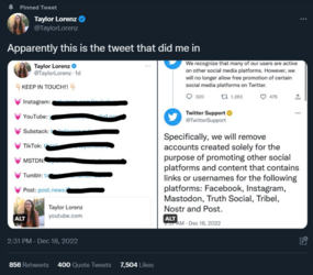 Taylor-Lorenz-on-Twitter-Apparently-this-is-the-tweet-that-did-me-in-https-t-co-0VEby8qzQu-Twi...png