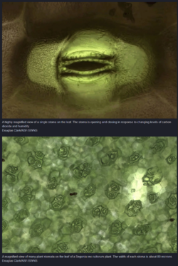 1671473183225.png