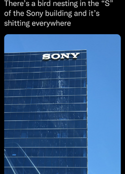 Screenshot_20221219-154447~2.png