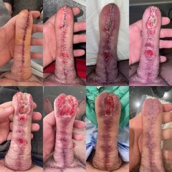 ebylkuwsby6a1.jpg