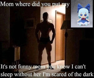 Mom where did you put my cirno.jpg