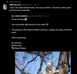 lionfucker.png