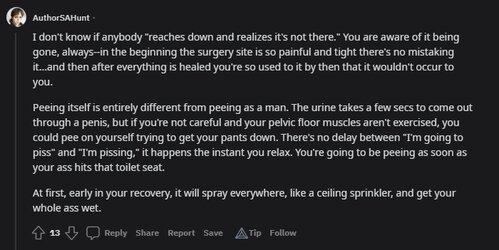 to pee2.jpg