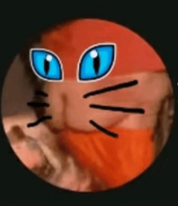 1671602384331.png