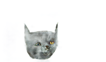 forlorn.png