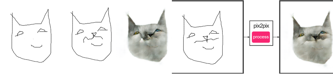 startingcat.png