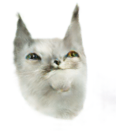 hmm.png