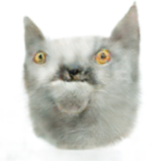 mutant.png
