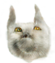 gottapee.png