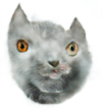 ketb.png