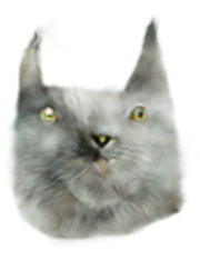 smijal.png