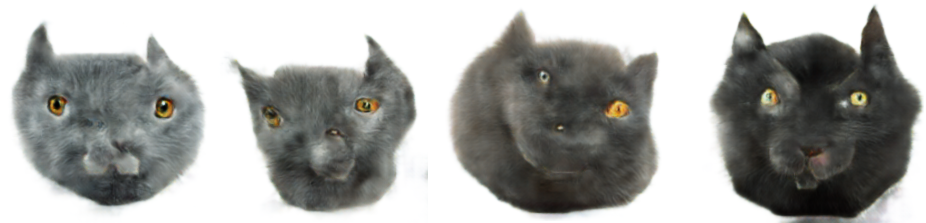 catsfour.png