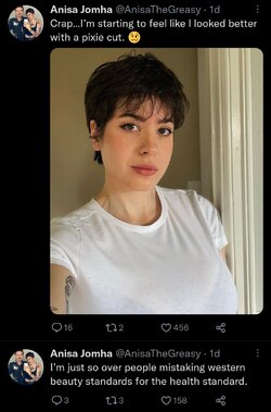 Screenshot_20221221-100613_Twitter.jpg