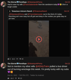 jen-lie.png