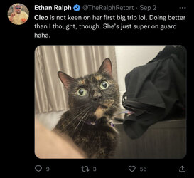 680BA435-0F5B-4FB2-96E5-AA75EACB5861.jpeg