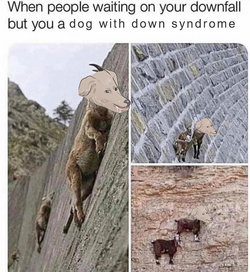 2022-12-21 23_46_36.png