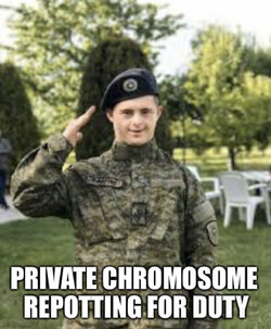 38595603-47CD-4F79-B64A-E0788E058FD2.jpeg