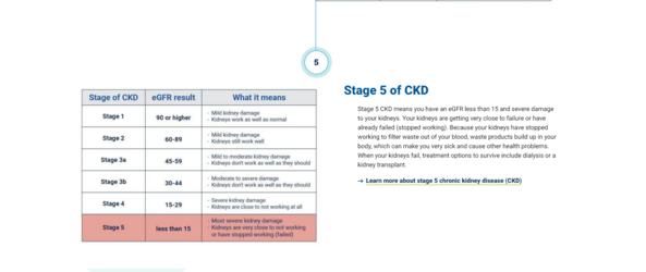 stage 5.png
