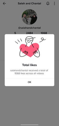 Screenshot_20221223_234735_TikTok.jpg