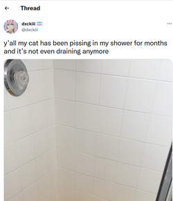 haram2.png