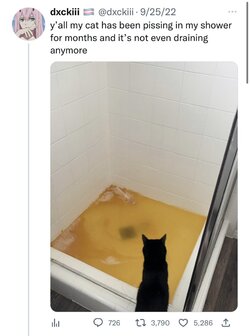 screenshot.jpg