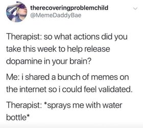shared memes.jpg