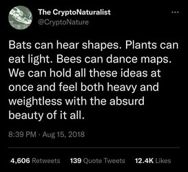 322047402_853187262628755_4237167272183494163_n.jpg