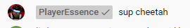 player essence 2.png