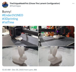 bunny.jpg