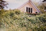 hauntedhousebypetsmart1.jpg
