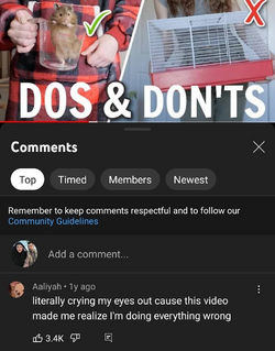 1672350492962.png