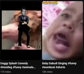 zoo5.png