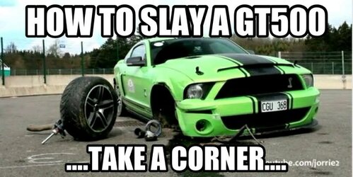 mustang3.jpg