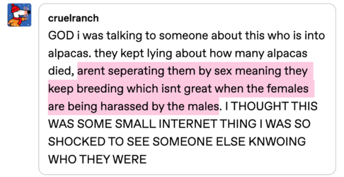 gender.png