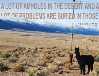 AMHOLES.png