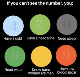 1672513820503.jpeg