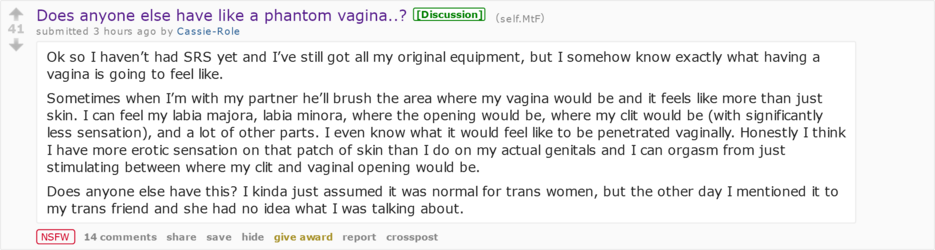 phantomvagina.png