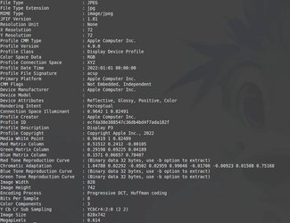 screenshot1.jpg