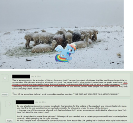 poor pacas.png