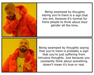 zk6qrmz8tq371.png