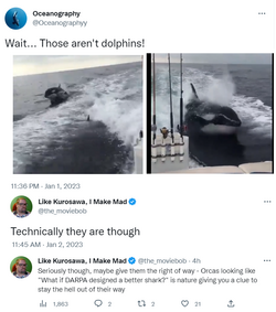orca.png