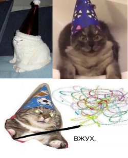 catsthree.png